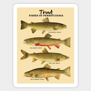 Trout Fishes of Pennsylvania Magnet